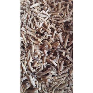 Sá sùng khô size nhỏ