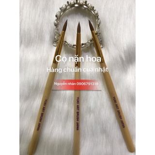 Cọ nặn hoa