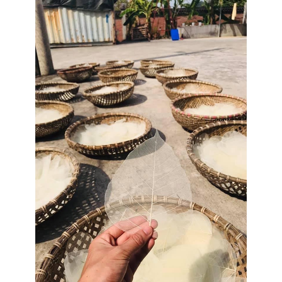 Lá Bồ Đề Mẹ Quan Âm và Thư Pháp