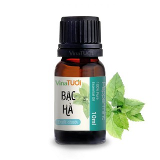 [Tỉnh Táo] Tinh Dầu Bạc Hà Nguyên Chất Vina Tươi 10ml - Đuổi Chuột