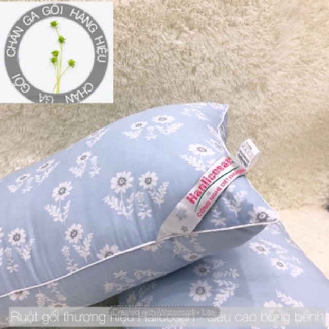 1 Đôi  ruột gối bông cao cấp hàng thương hiệu.