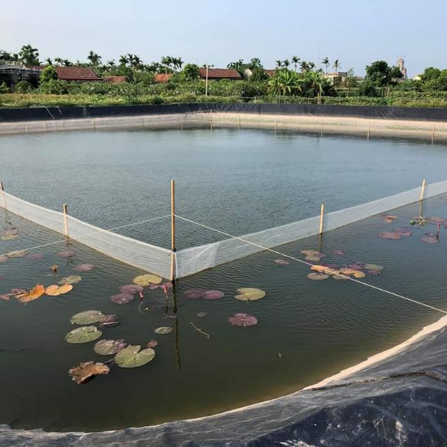 Lưới quây bèo , ốc , cá tạp - lưới siêu bền