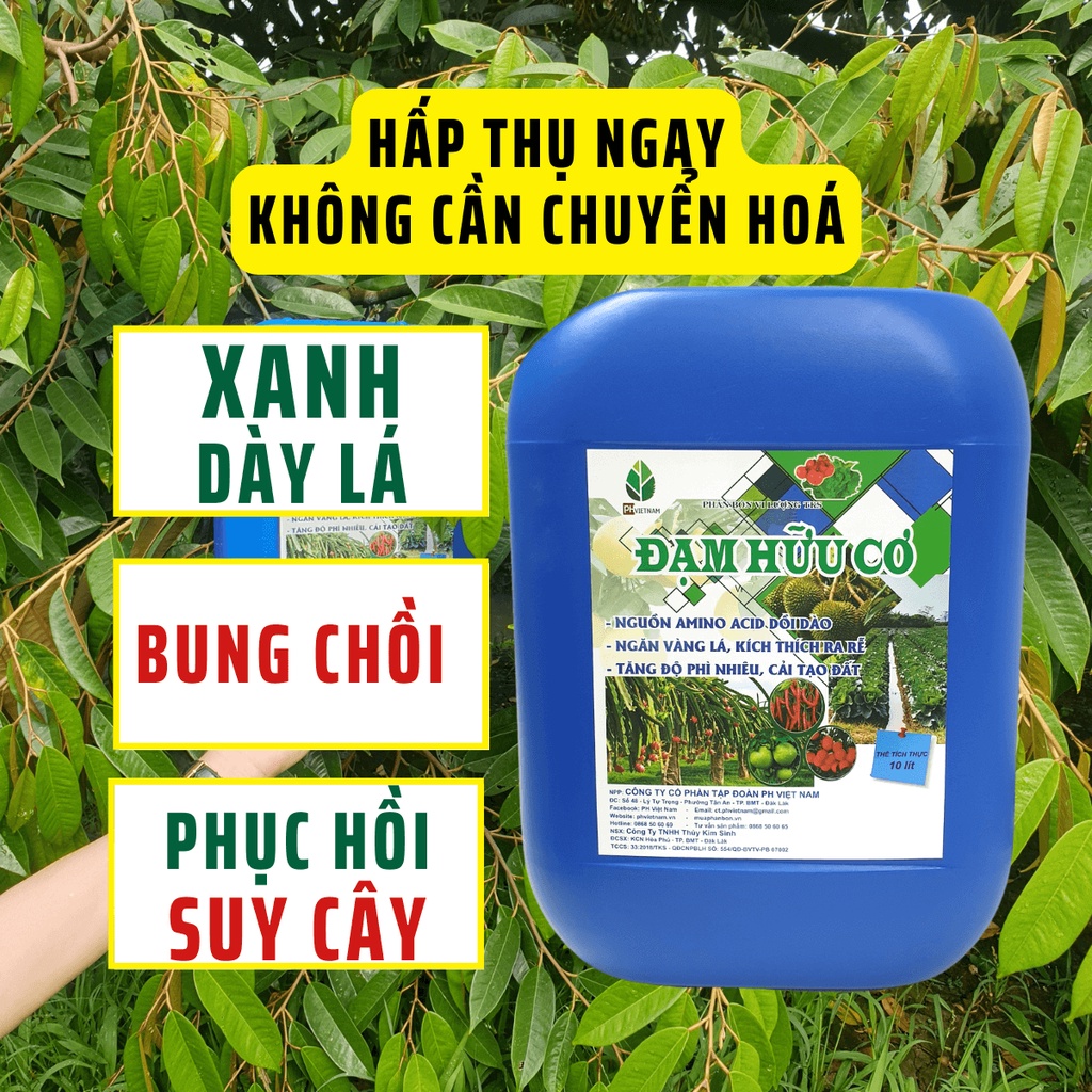 Phân Bón Đạm Hữu Cơ Amino 10 Lít Cao Cấp - Phục Hồi Vườn, Đâm Chồi Lá Dày, Đạm Cá Nước Ngọt