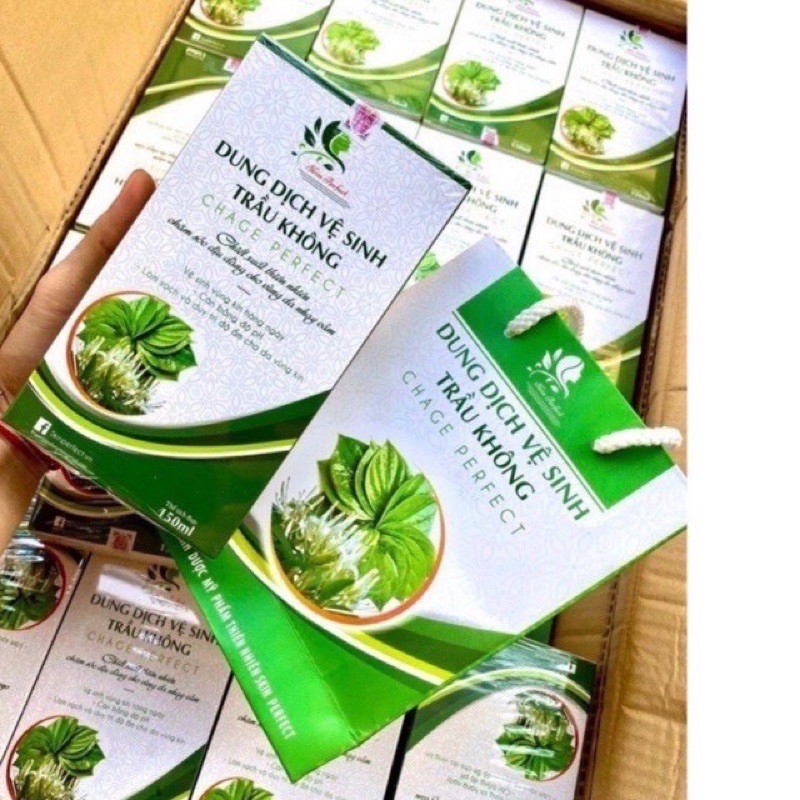 Dung dịch vệ sinh phụ nữ Trầu Không