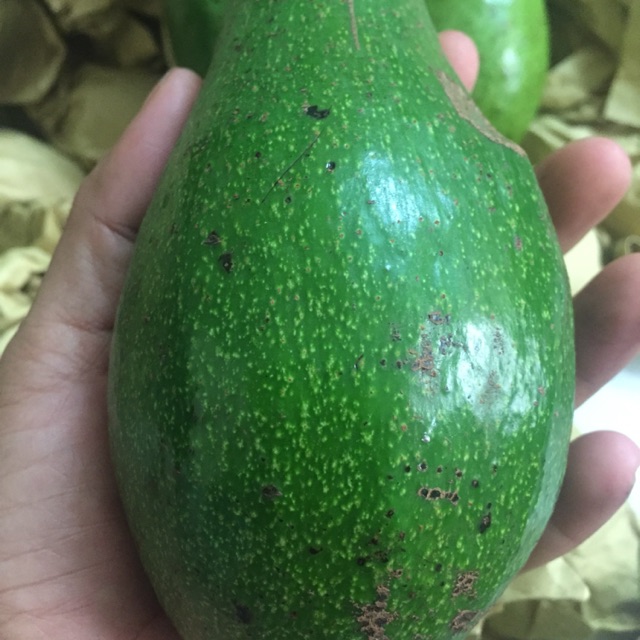 Hạnh nhân nhập khẩu