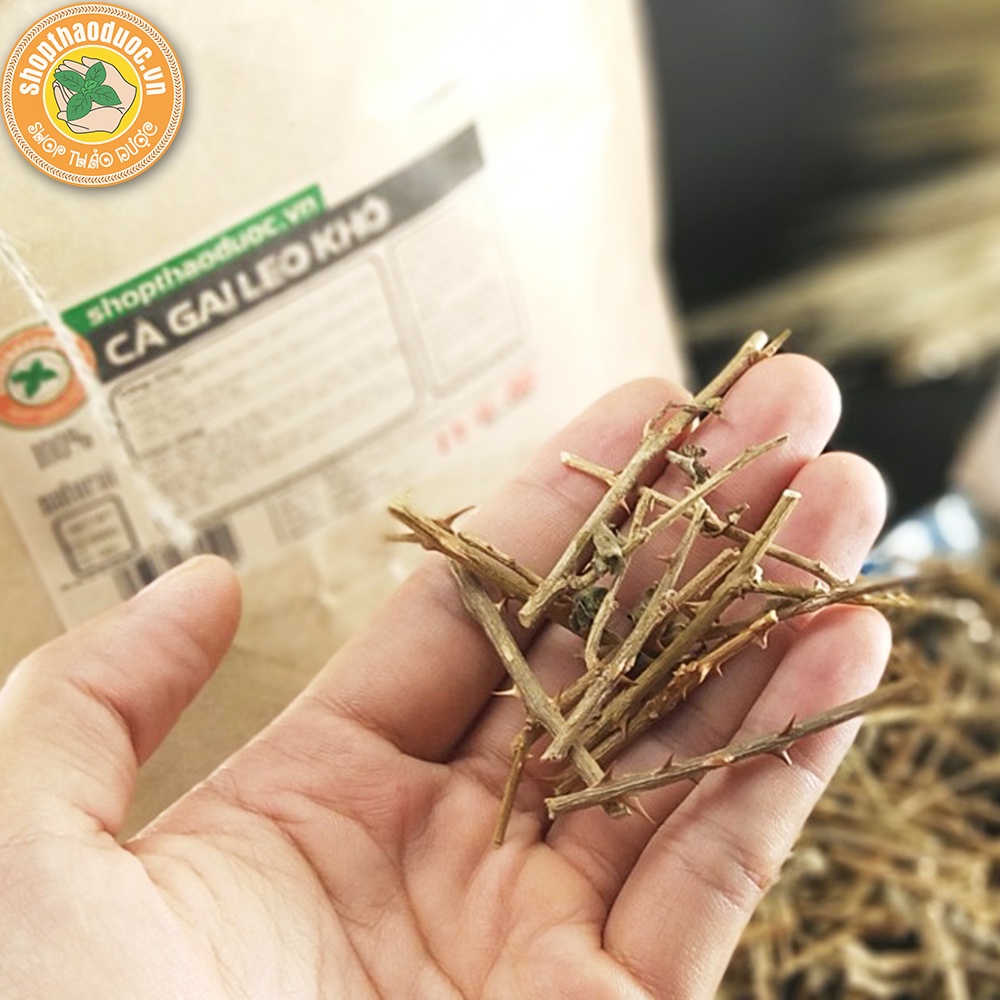Cà gai leo gói 500g - Hỗ trợ tốt cho gan