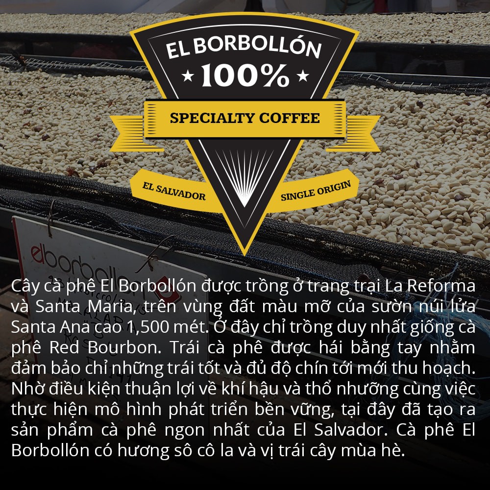 120g Specialty Coffee Nguyên Hạt El Salvador El Borbollon Cà Phê Hảo Hạng Exquisite®