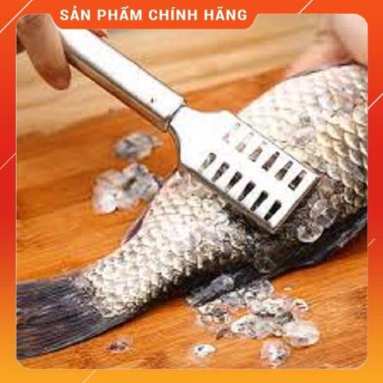 Cây đánh vảy cá chuyên dụng