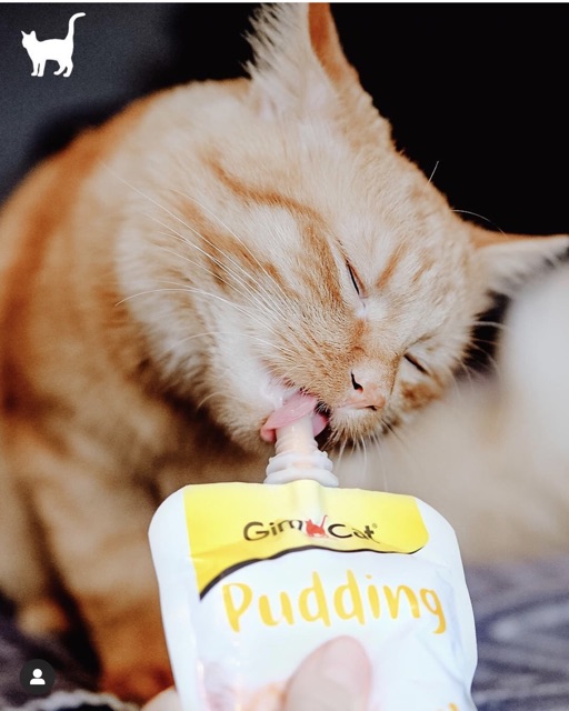 [𝐆𝐢𝐚́ 𝐡𝐮𝐲̉ 𝐝𝐢𝐞̣̂𝐭] Gimcat Pudding cho mèo 150gr