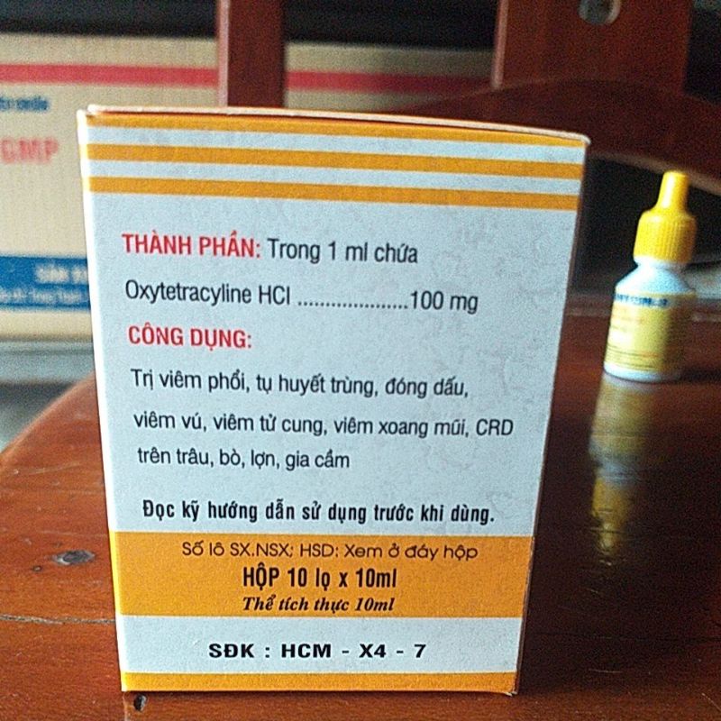 Đậu gà, gà mọc mụn ở đầu, gà đá, thú cưng chim, gà chọi, gia cầm