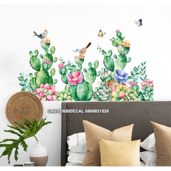 Decal dán tường - Chân Tường Xương Rồng Mập ú