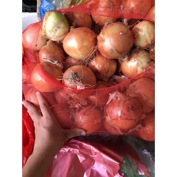 1Kg Hành Tây củ ngon không hỏng- hàng tươi ngon mỗi ngày