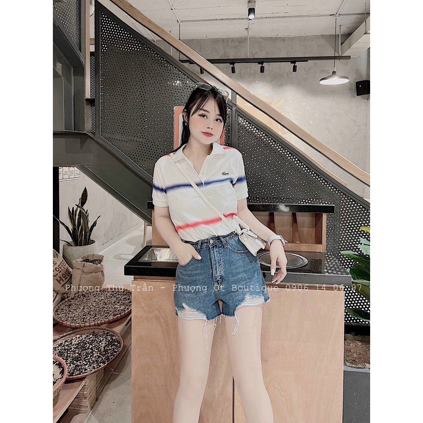 Áo polo nữ thun cổ bẻ Lacos kẻ ngang đỏ xanh new mẫu hot nhất 2022