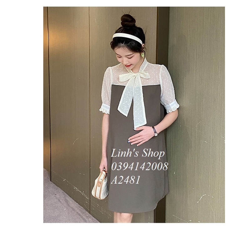 Váy Đầm Suông Xinh A2481