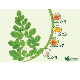 Bột Chùm Ngây Sấy Lạnh Moris 100g (Date 2026)