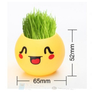Chậu cây để bàn mini mặt cười