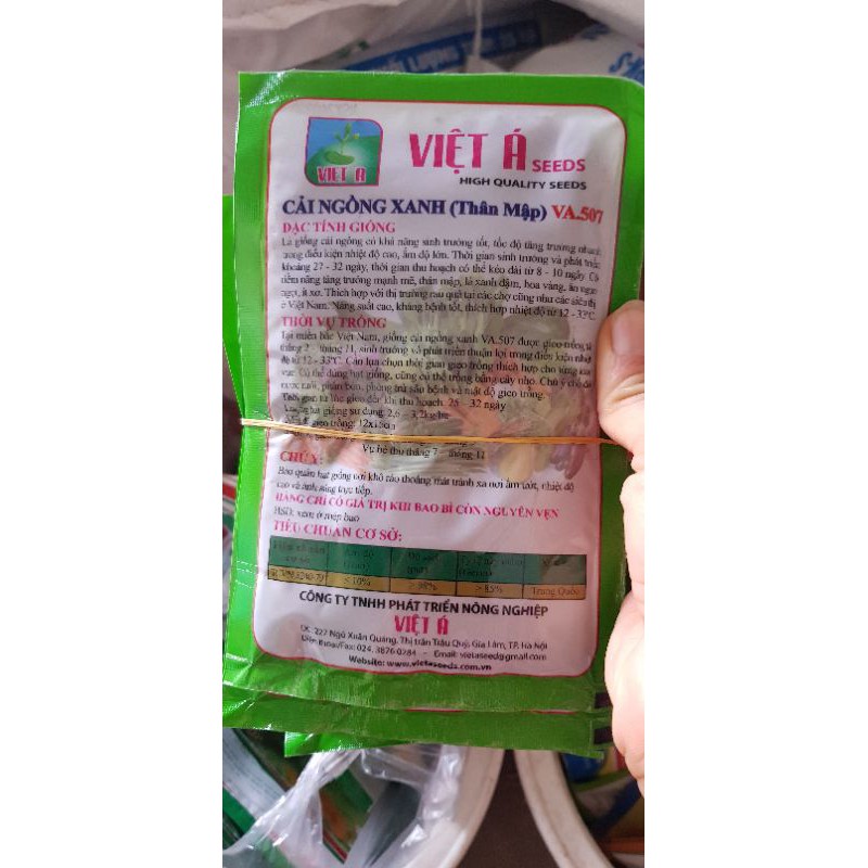 Hạt giống cải ngồng