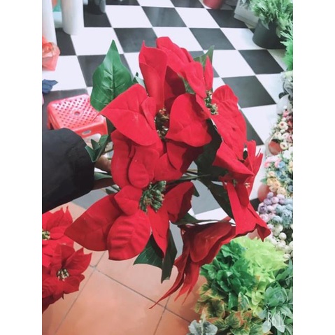 Cây giả- Cây Trạng Nguyên Size đại