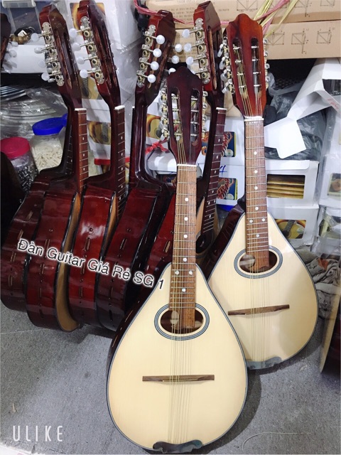 Đàn Mandolin có đúp hông