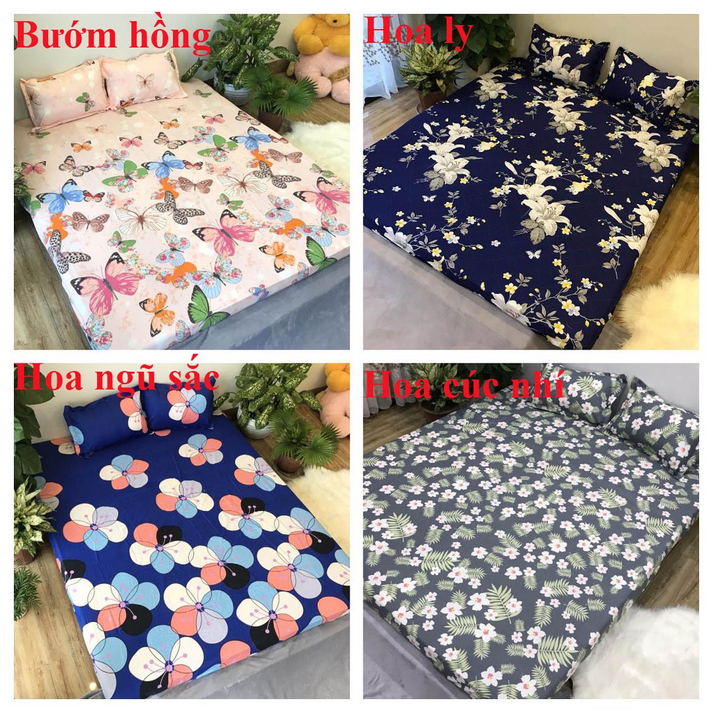 Rẻ nhất Bộ ga gối cotton poly 1m5 hcm 4M007