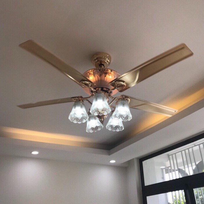 Quạt Trần Đẹp THỊNH HOA , Quạt Trần Trang Trí Phòng Khách Hiện Đại, Động Cơ AC