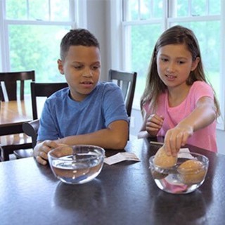 TRỨNG KHỦNG LONG HOÁ THẠCH - DINOSAUR EGGS - DIG IT UP!!! (combo 12 quả)
