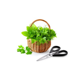 Kéo Làm Bếp Đa Năng Benchusch SC01