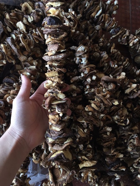 Nấm hương rừng Sapa 400g