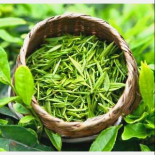 ☕TEA&COFFEE TIẾN THỊNH☕ TRÀ CHÈ NÕN TÔM CỰC PHẨM THÁI NGUYÊN
