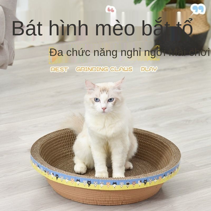 Mèo cào cát một miếng lót mèo chống mài mòn chậu không rơi vãi mảnh vụn Bốn mùa phổ biến cát vệ sinh cho mèo cào bảng nh