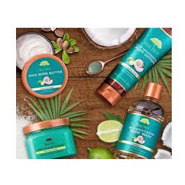 Dầu tắm dưỡng ẩm Tree Hut Shea Moisturizing Body Wash | BigBuy360 - bigbuy360.vn