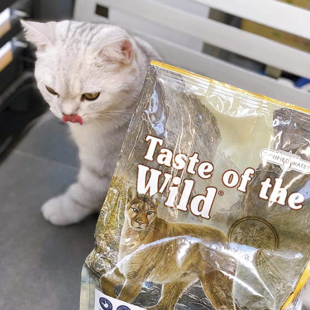 Thức Ăn Cho Mèo Anh Lông Ngắn Taste Of The Wild Bao 2kg - Thức Ăn Cho Mèo, Vị Cá Hồi, Rau Củ Quả, Trái Cây