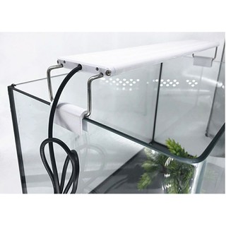 Đèn Máng Led 60cm 3 chế độ