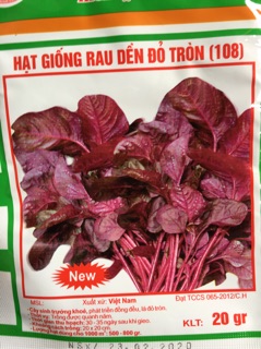 Hạt giống rau dền đỏ 20g