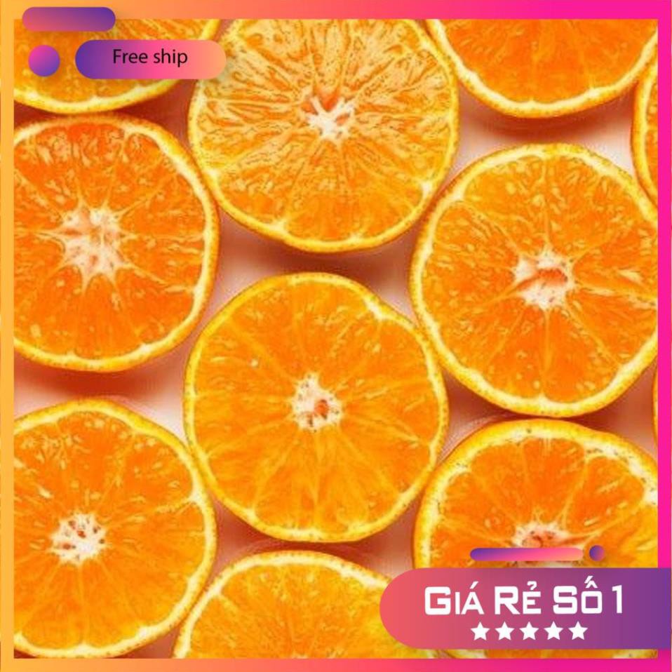 Sữa Tắm Sáp Cam Orange Butter Shower Soap Dưỡng Trắng Da, Làm Đều Màu Da 500ml - Ziaja | BigBuy360 - bigbuy360.vn