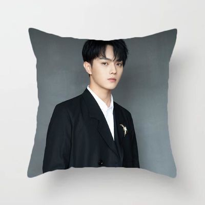 (nhiều mẫu) Gối IN HÌNH Hứa Khải gồm cả vỏ và ruột chất đẹp tiện lợi idol thần tượng cpop