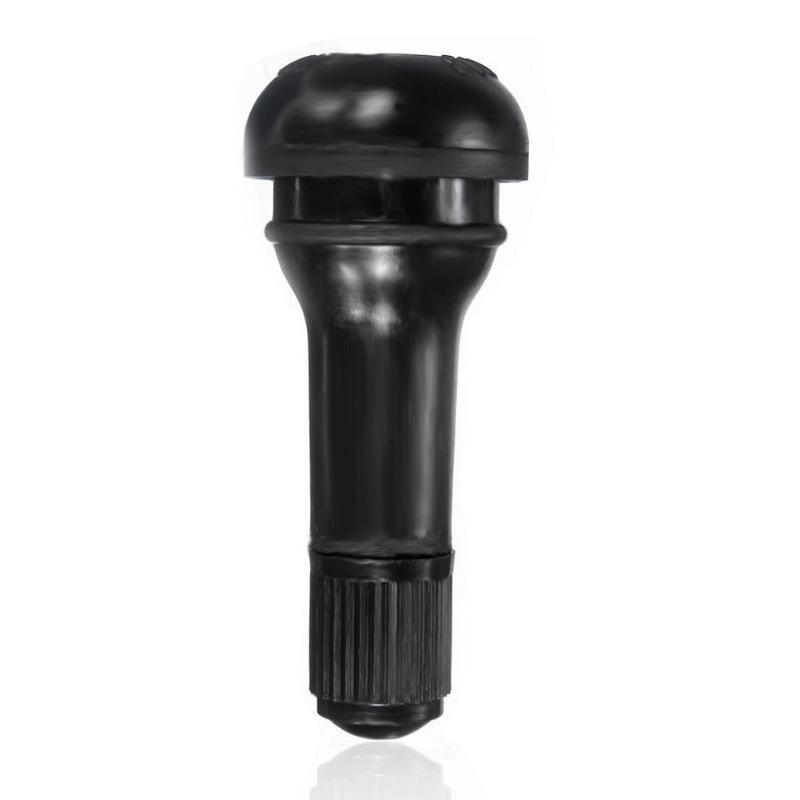 10 / 25 Van Lốp Xe Tr413