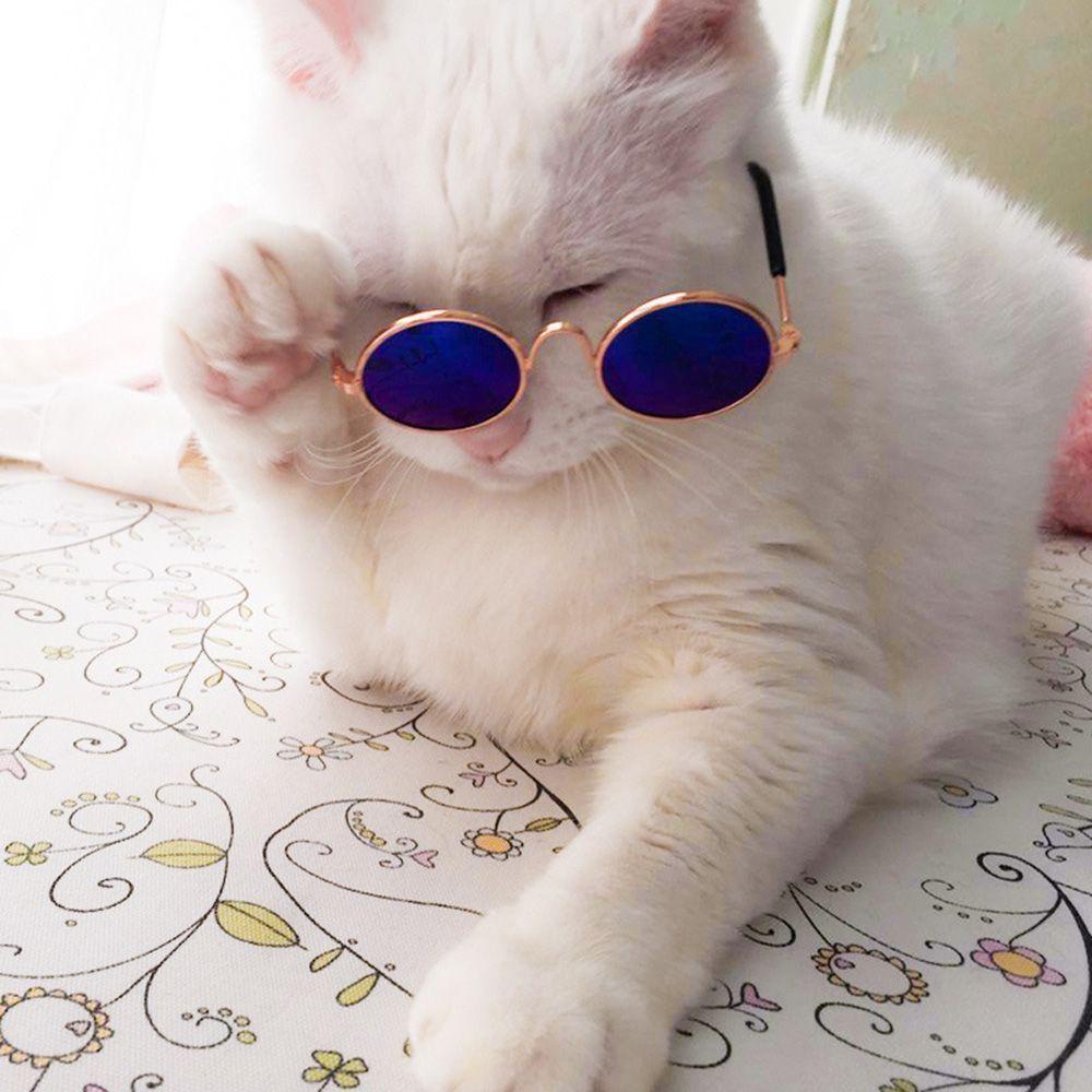 Kính Bảo Vệ Mắt Cho Thú Cưng Thiết Kế Dễ Thương Sự Bảo Vệ