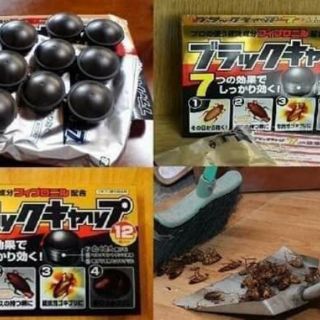 Diệt gián Nhật Bản -12 viên