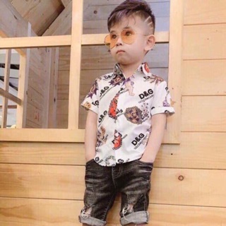Combo 2 áo sơ mi lụa ngắn tay