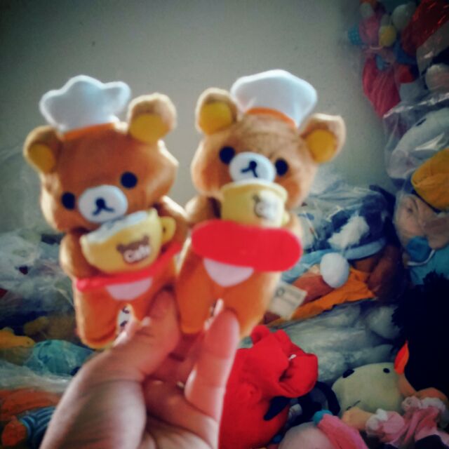 Gấu của đại cát
