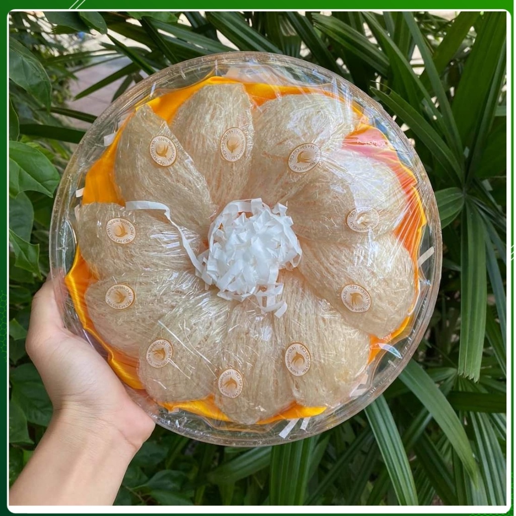 Tổ Yến Rút Lông Nguyên Tổ Xuất Khẩu - Yến Sào Cao Cấp The Nest House