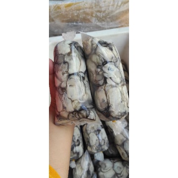 1KG 2 bịch Hào sữa hàng mới 100% như hình!! [Grab + Now Ship] | BigBuy360 - bigbuy360.vn