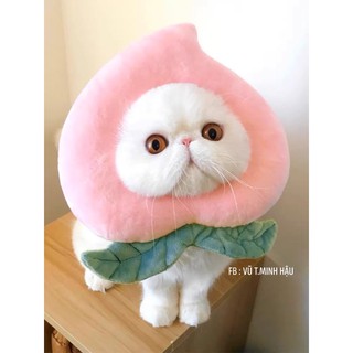 [ Gối mèo hình quả đào , đùi gà , bánh mì ]