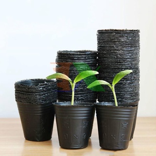 Set 50 bầu ươm cây 8x8