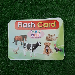 Thẻ Học Thông MinhChủ Đề Động Vật Nuôi Cho Bé