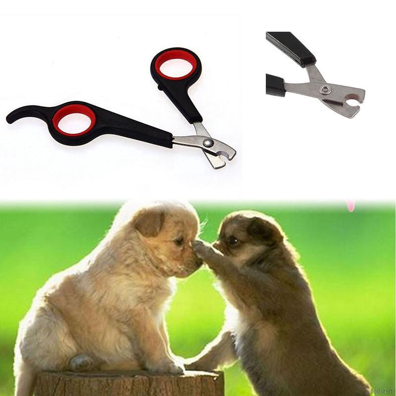 Pet Professional Home Grooming Tool for Dogs Cats Stainless Steel Nail Clipper Easy to Operate