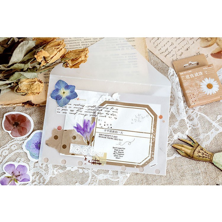 Hộp 46 miếng sticker mẫu hoa cúc trắng