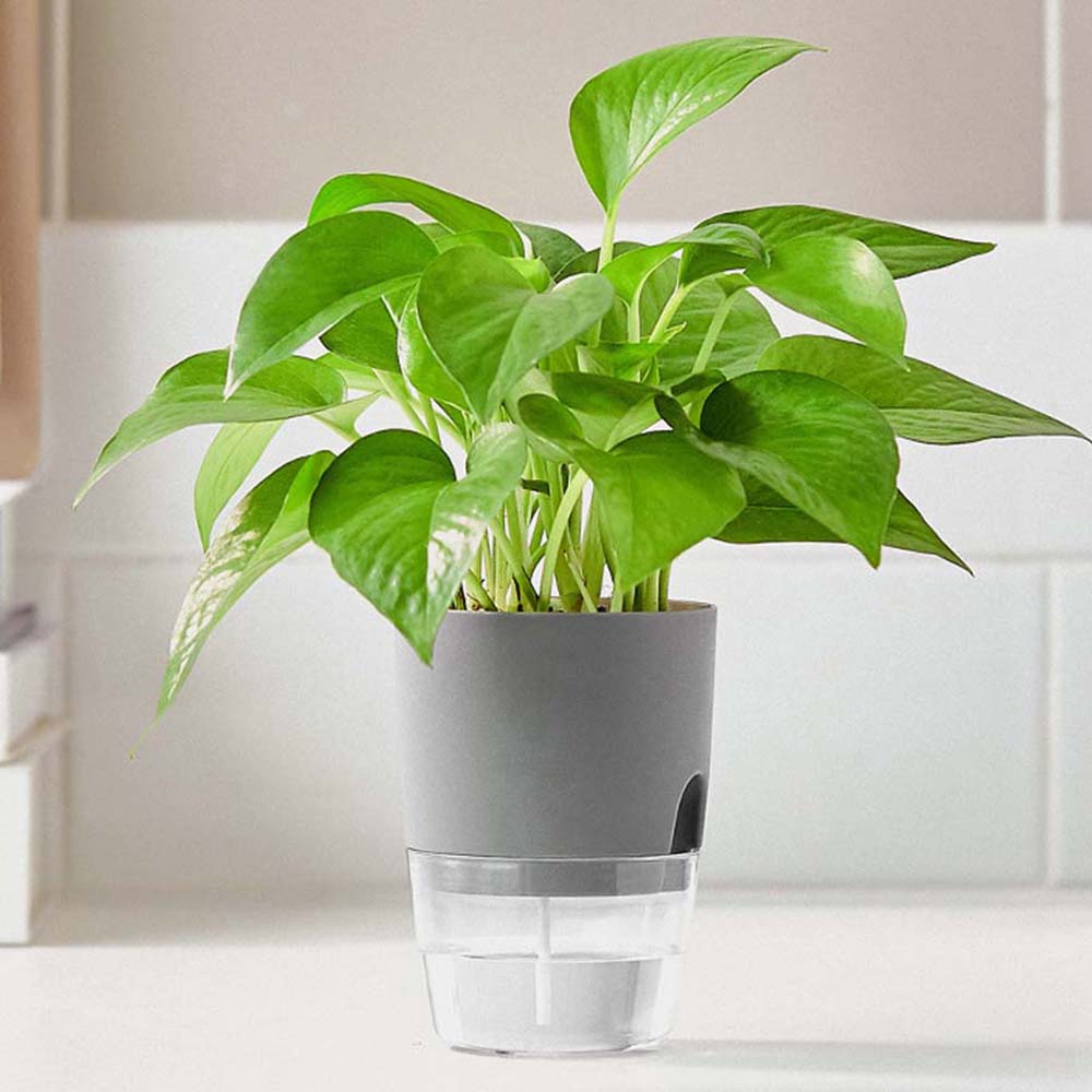 Chậu hoa bằng nhựa trang trí vườn nhà độc đáo