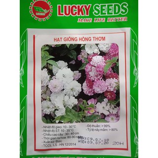 Hạt giống hoa hồng thơm mini - 20 hạt